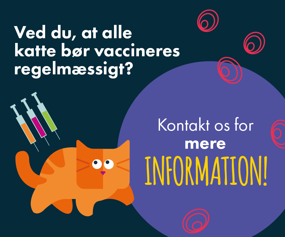 Digital Material - Vaccination - MSD Animal Danmark